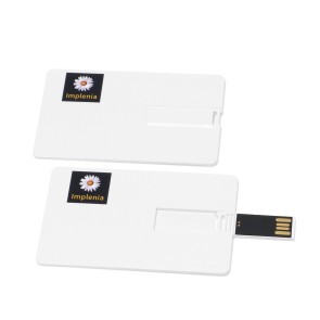 USB-Stick mit Karabiner